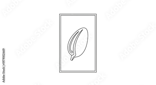 Abstract Outline of a Seed or Bean Shape on White Background