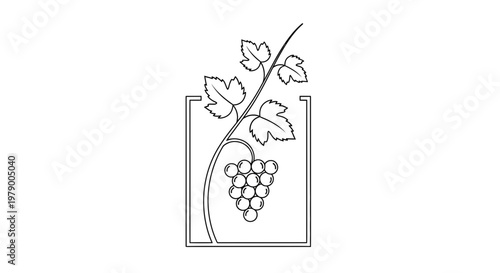 Grapevine in a square frame, minimalist line art, organic growth, vineyard symbol