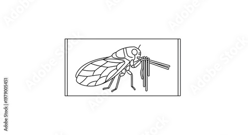 Close-up illustration of a cicada insect feeding on plant stems, line art