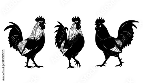 Farm Poultry Rooster Silhouettes Vector Set Animal Graphic Design Elements