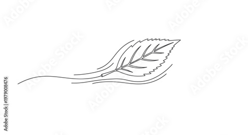 Elegant one line drawing of a flowing leaf in motion, symbolizing natures movement and environmental harmony, ideal for peaceful and organic designs.