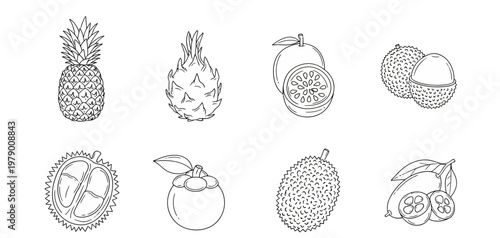 Hand drawn outline set of tropical fruits including pineapple, dragon fruit, passion fruit, lychee, durian, mangosteen, and kumquat. Ideal for healthy food and cooking themes.