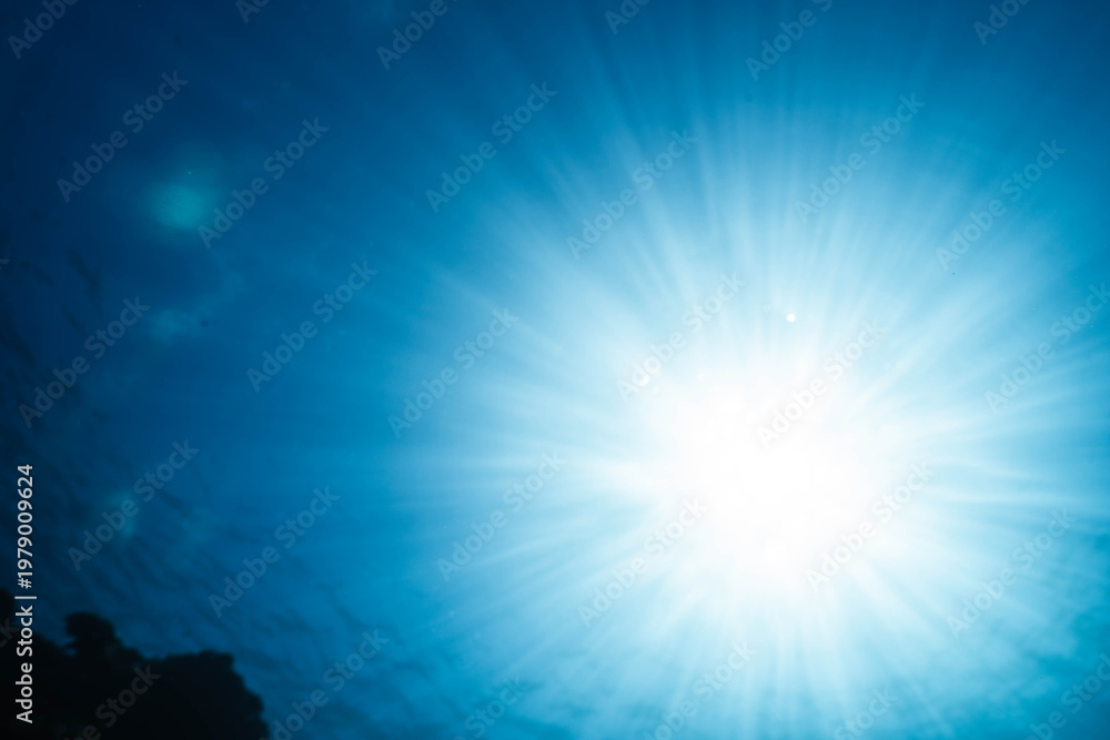 Obraz premium Underwater Scene with Strong Sun Rays