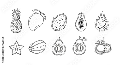 Hand drawn tropical exotic fruit outlines including pineapple, mango, papaya, dragonfruit, starfruit, guava, and rambutan, perfect for food design projects.