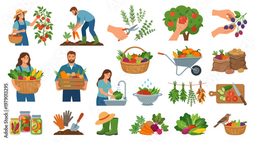 Flat Vector Illustration of Diverse Organic Fruits and Vegetables Harvested