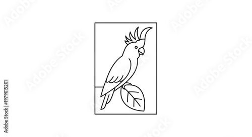 Minimalist Line Art Cockatoo Perched on Leaf in Rectangle Frame