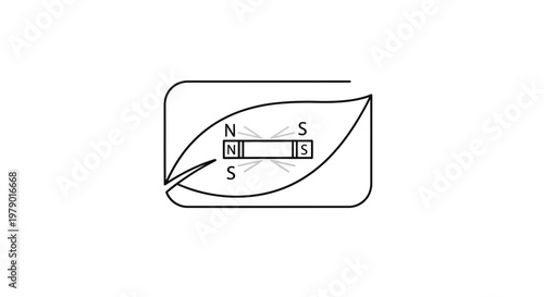 Magnetism and Plant Growth: North and South Poles Affecting Leaf