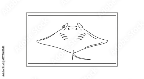 Manta Ray Outline Drawing, Underwater Sea Life, Marine Animal Vector