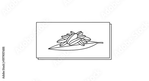 Hand-drawn illustration of bay leaves and spices on a white background