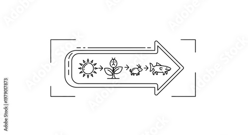 Ecosystem food chain diagram: sun, plant, goat, fish, showing energy flow