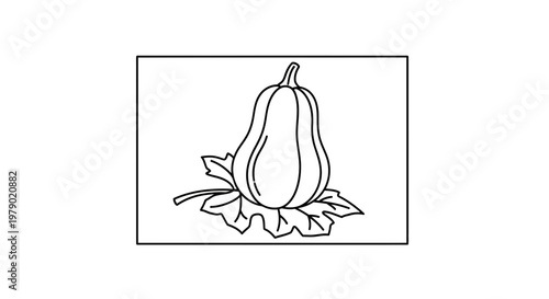 Butternut Squash Outline on Autumn Leaves, Simple Line Art, Thanksgiving Harvest Food Illustration