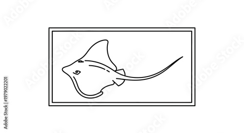 Stingray outline drawing in a rectangle frame, marine life illustration