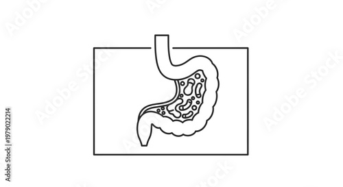 Stomach Anatomy Outline Icon: Digestion, Gastric Health, Digestive System