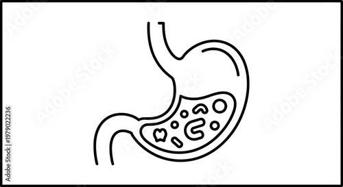 Stomach Digestion Icon Outline: Digestive System Anatomy, Gastric Health Concept