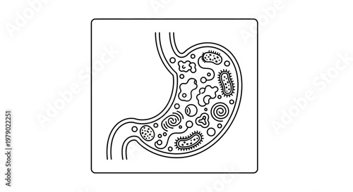 Stomach Microbes: Illustration of Bacteria and Microorganisms in Digestive System