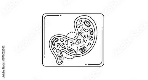 Stomach Microbes: Bacteria and Microorganisms Inside Human Digestive System Icon