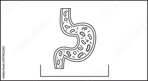 Stomach with bacteria illustration, digestive system health and microbiome concept
