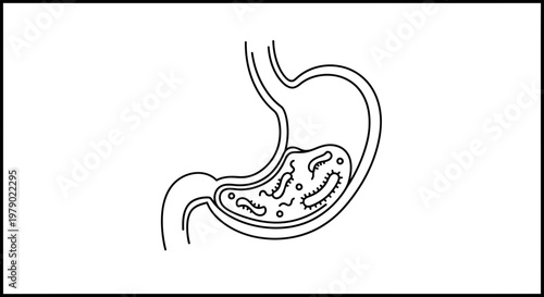 Stomach with bacteria illustration
