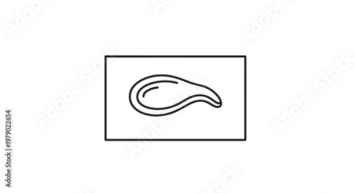 Simple Line Art Icon of a Mussel or Clam Shell