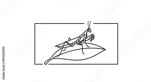 Praying Mantis Insect on Leaf, Minimalist Line Art Illustration