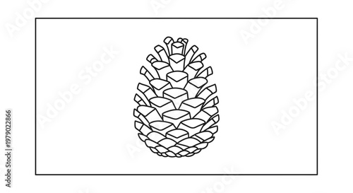 Pine Cone Outline Drawing: Natural Seed Pod, Botanical Illustration, Simple Vector Art