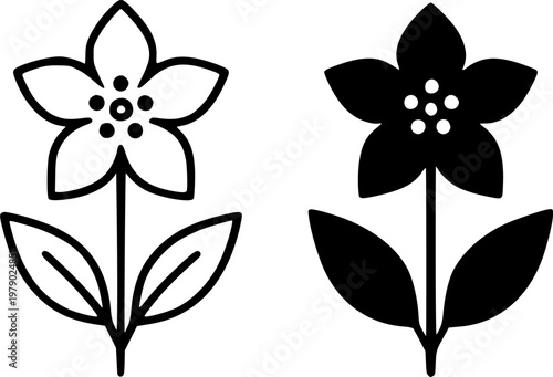 Nightshade minimalist icon, outline and silhouette, for floral or plant design, isolated on transparent background