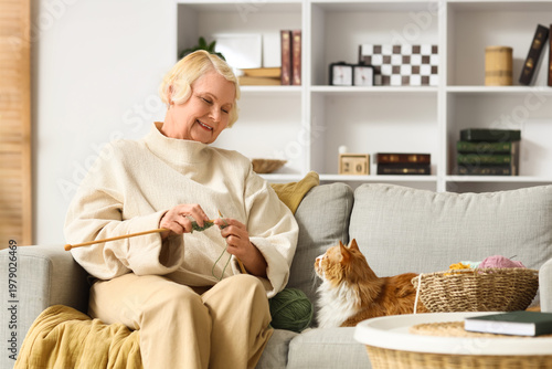 Senior woman with cute ginger cat knitting on sofa at home