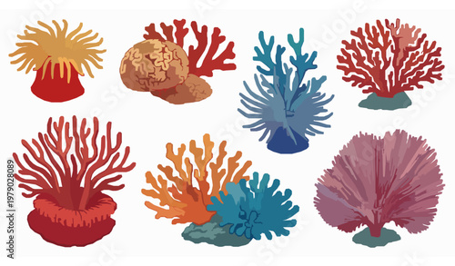 Tropical coral reef and sea anemone vector illustration set