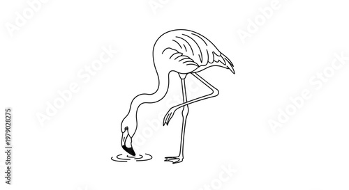 Flamingo Drinking Water Line Art
