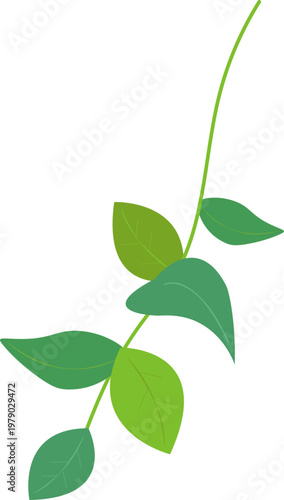 나뭇잎 줄기가 있는 식물