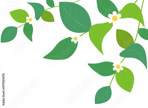 나뭇잎과 흰색 꽃이 있는 줄기 식물