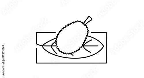 Durian Fruit Icon with Leaf and Box Outline, Simple Line Art Illustration