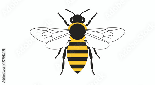 A stylized vector illustration of a honey bee viewed from above.