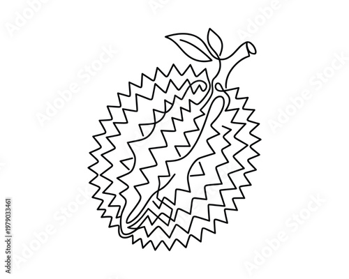 Spiky durian fruit whole with flesh inside line drawing single continuous line art.