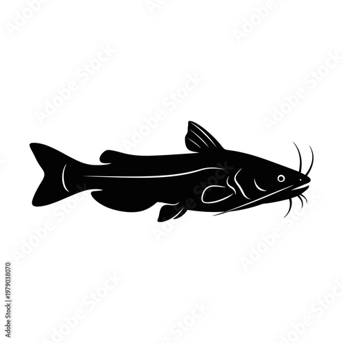 Catfish silhouette on transparent background.