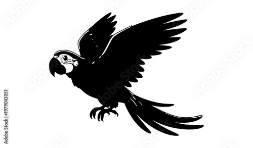 Colorful macaw parrot flying side view vector illustration cute tropical bird for children books and educational encyclopedia