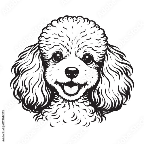 A clean vector portrait of a Poodle dog head, using smooth lines and subtle details to show its fluffy coat, graceful form, and friendly, intelligent character.