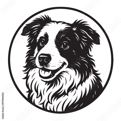 A detailed vector illustration of a Border Collie head, designed with smooth shapes and expressive features, highlighting its alert nature and iconic black and white fur.