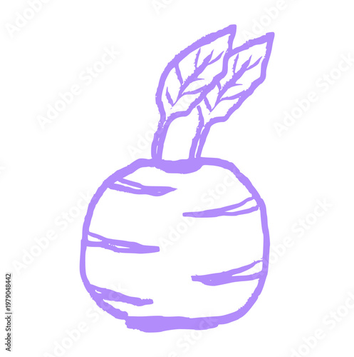 Radish root vegetable, hand drawn turnip, doodle food ingredient, crayon wax texture, organic garden plant, rough sketch element