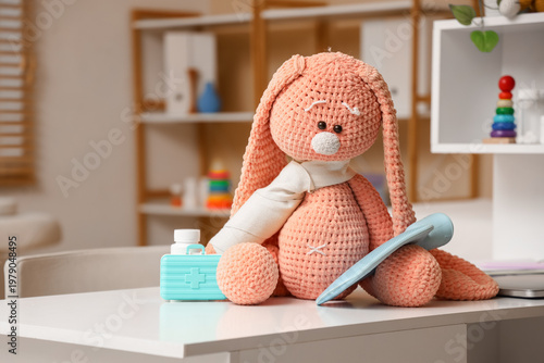 Toy bunny with hot water bo...