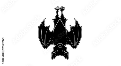 Black Bat Hanging Upside Down Alone.