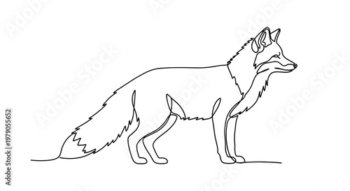 A Fox Standing on the Ground.