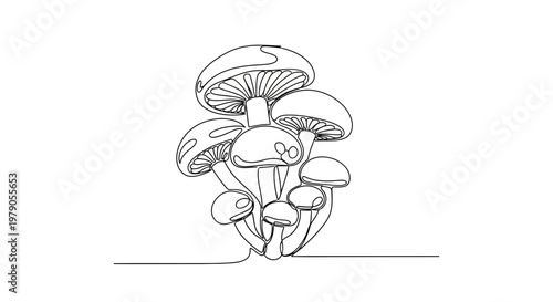 A cluster of mushrooms growing together.