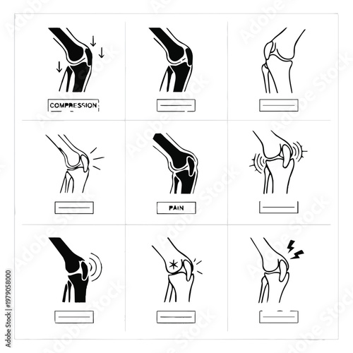 Human shoulder anatomy illustrations in various movements and views