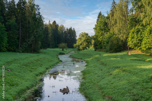 Slavyanka River Valley in the landscape part of the Pavlovsk Palace and Park Complex on a sunny summer day, Pavlovsk, Saint Petersburg, Russia