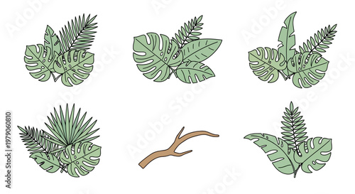 Collection of various green tropical leaves.
