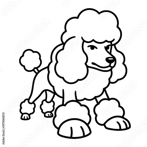 poodle dog line drawing illustration vector clipart black and white