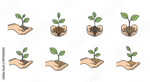 Small green plants in human hands.