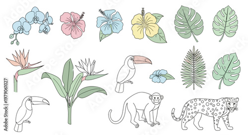 Tropical animals and plants illustration set.