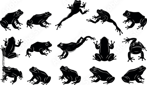 Frog silhouettes set showing different poses and movements, amphibian collection with jumping, sitting and crawling frogs, wildlife illustration isolated on white background